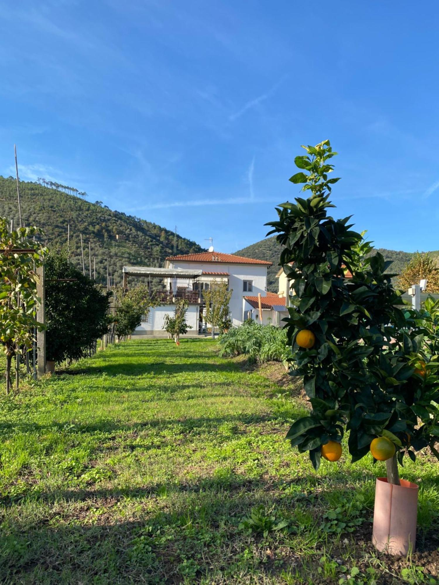 La Tenuta Di Eva Pisa Exterior photo